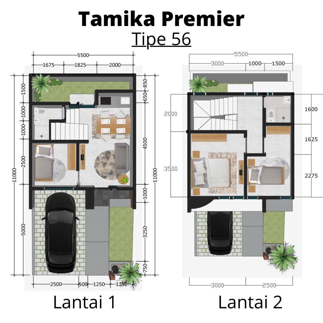 tamika-premier